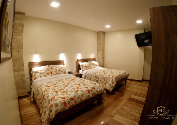 Hotel David