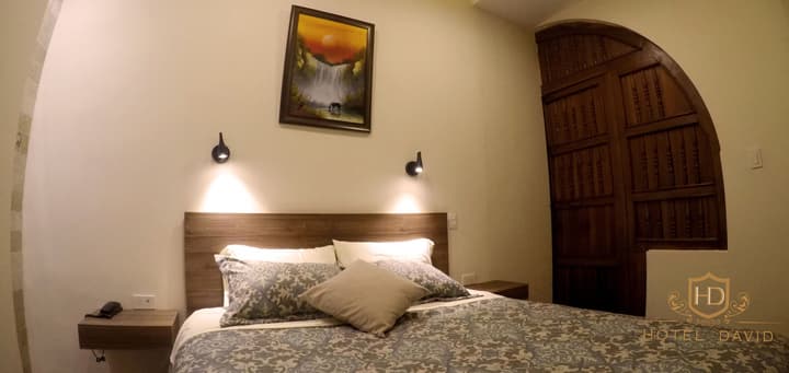 Hotel David