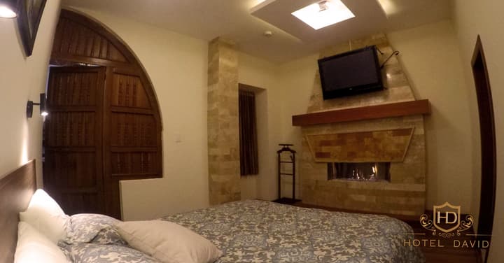 Hotel David