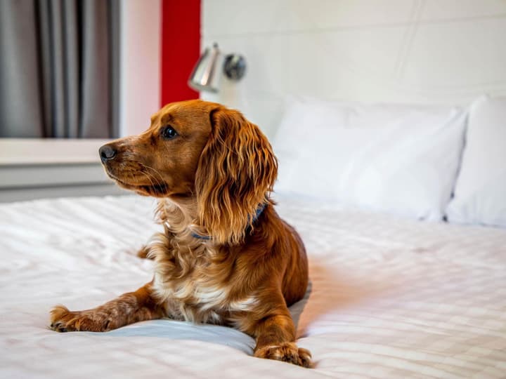 Ibis Styles Glasgow Central