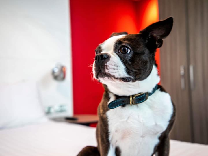 Ibis Styles Glasgow Central