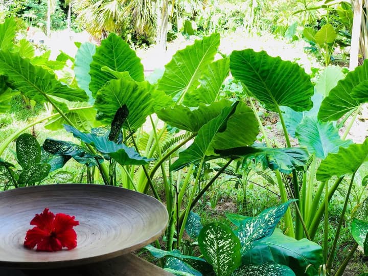 Bliss Hotel Praslin
