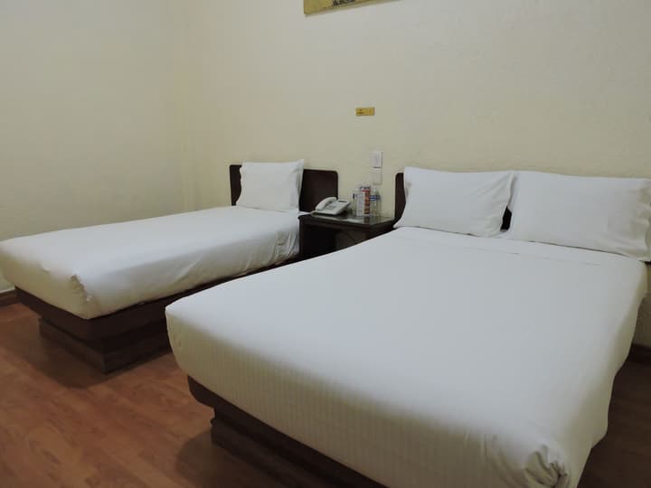 Hotel Capri de León México