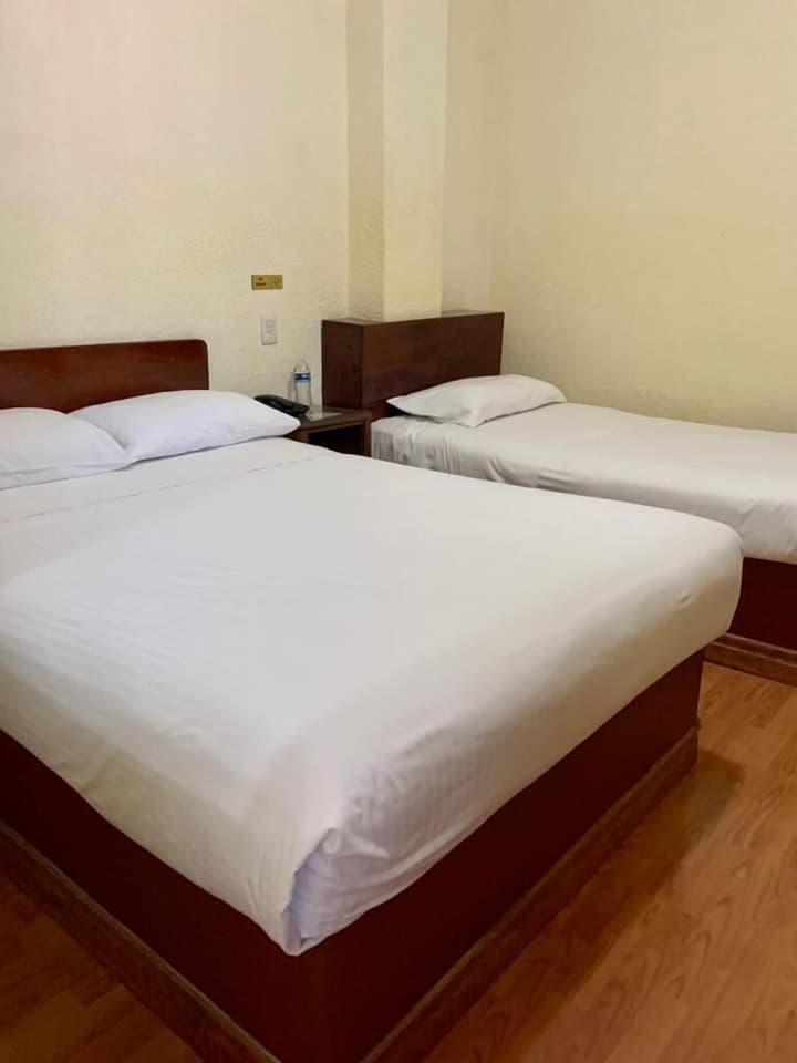 Hotel Capri de León México