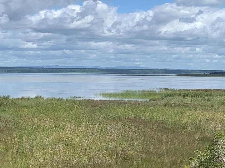 Flamingo Lodge
