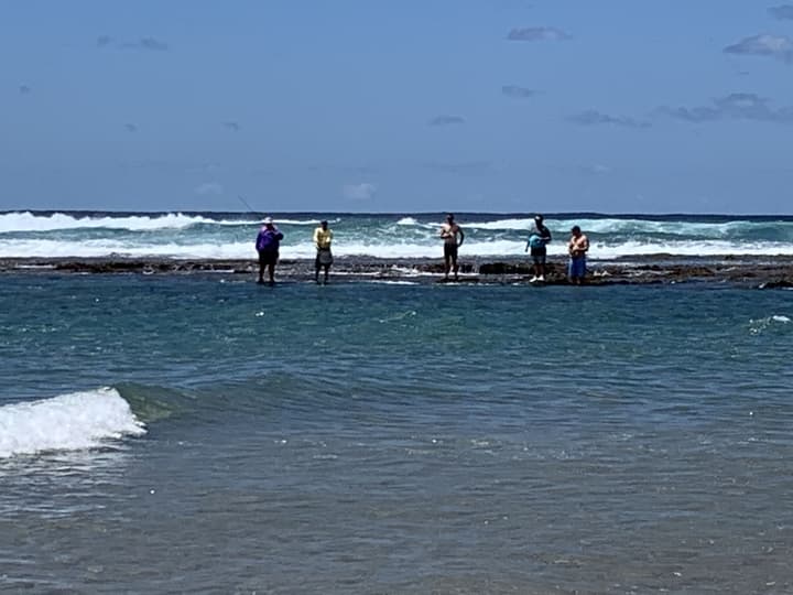 Perna Perna St Lucia