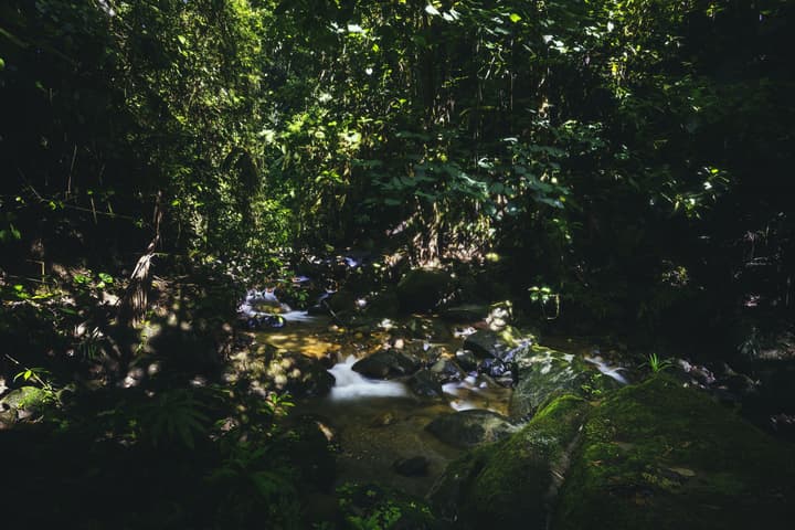 Amor Arenal Adults Friendly