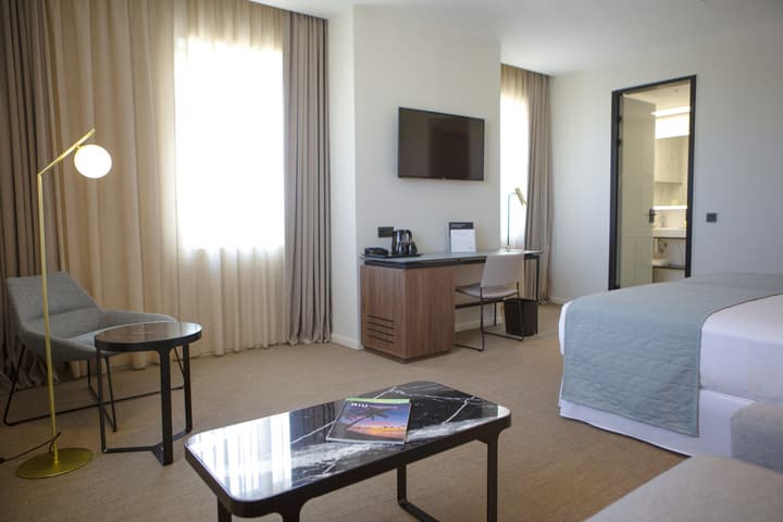 Hotel Riu Plaza España