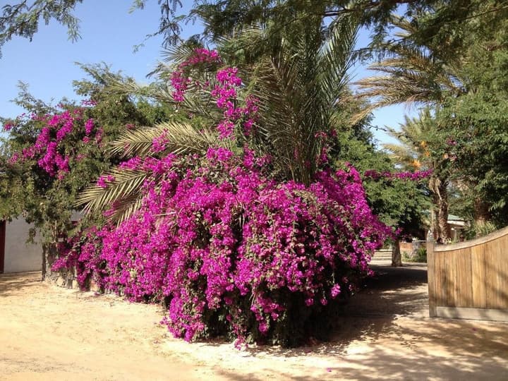 Villa Morabeza Guest House