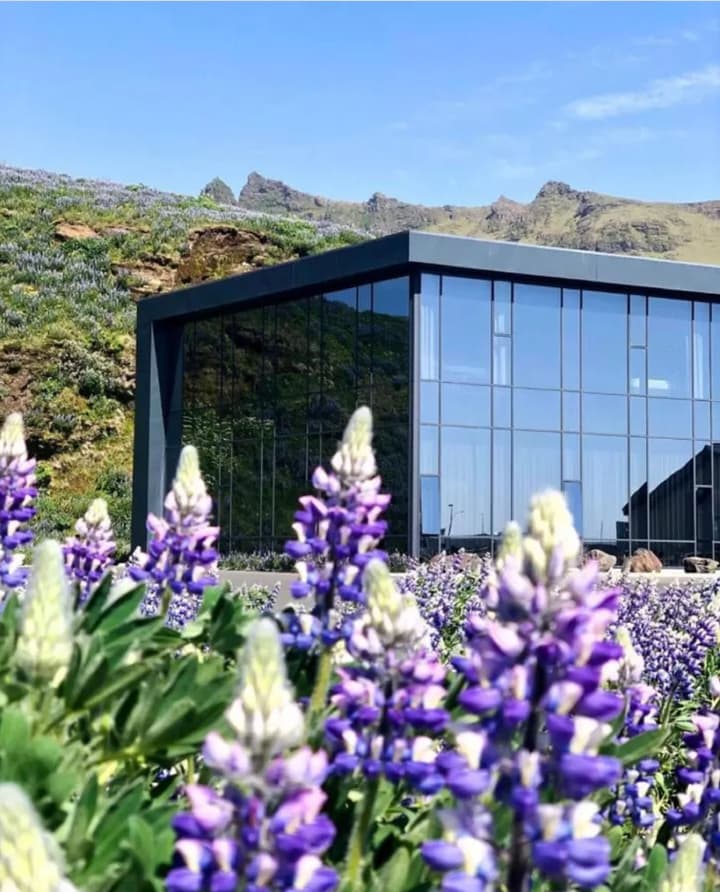 Vík Apartments