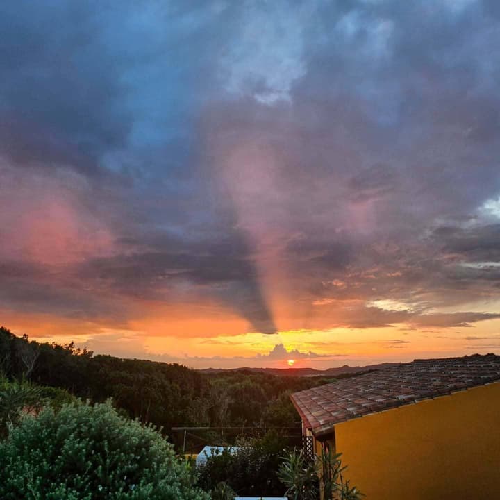 Punta Falcone Resort