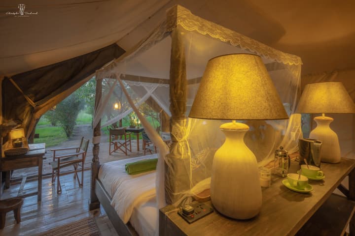 Mara Major Camp
