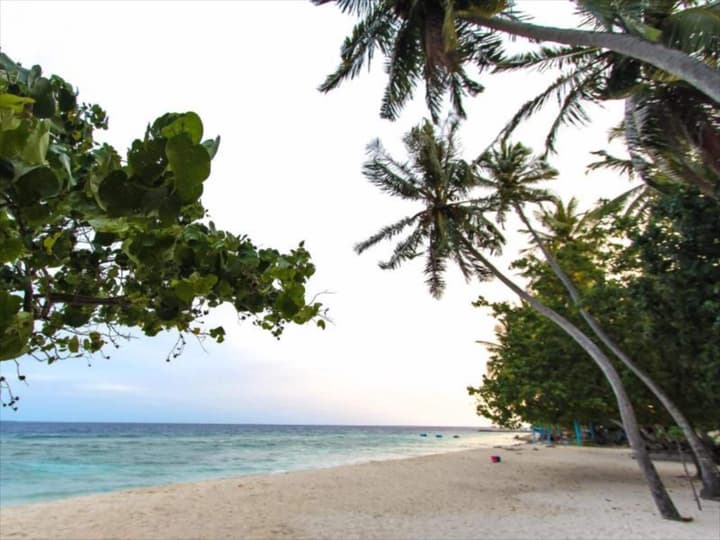 Goby Lodge Guest House