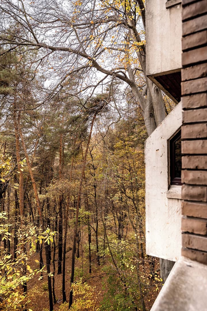 FOREST HOTEL