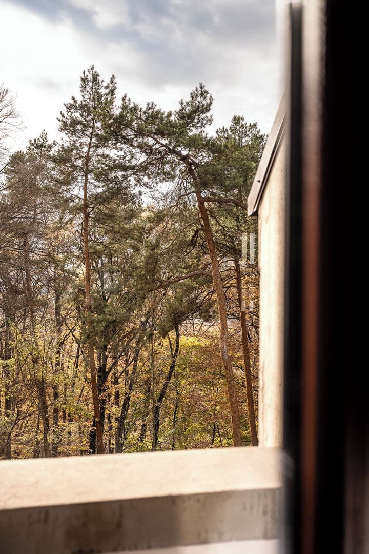 FOREST HOTEL