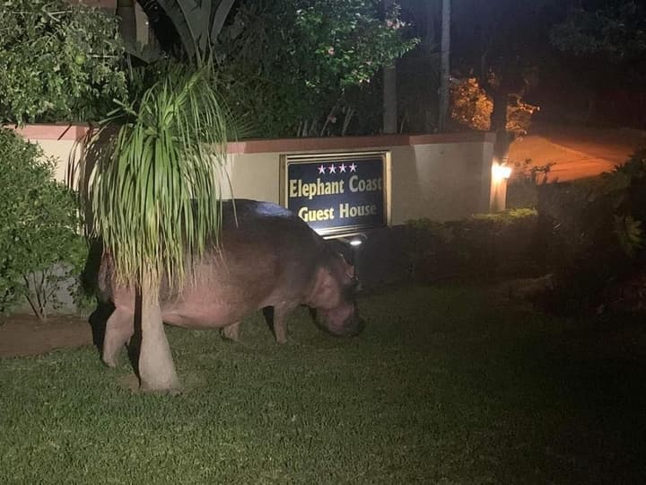 Elephant Coast Guest House