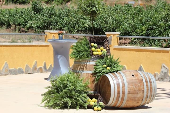 Hostal Atalaya