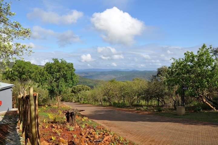 Hazyview Buffalo Game Lodge