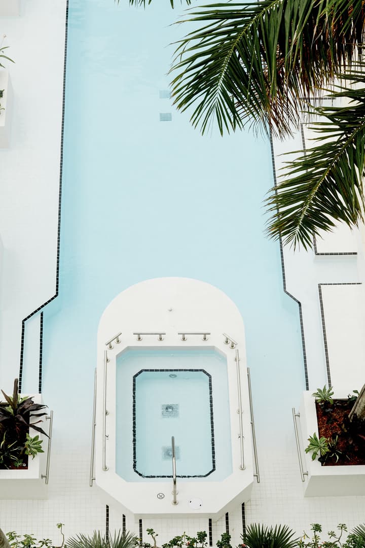 Palm Heights
