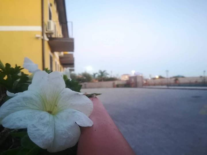 B&B I Colori dell'Etna