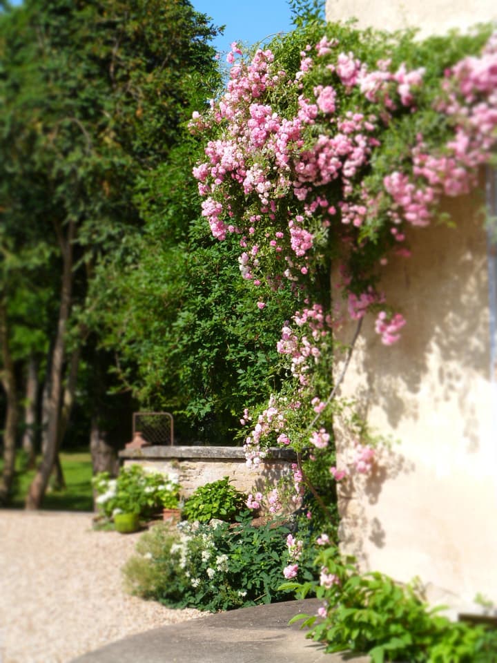 La Maison du Cremant