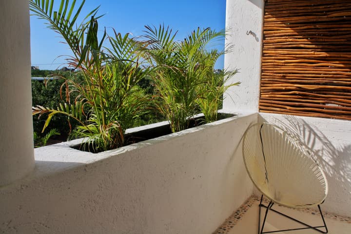 Hotel Casa HX - Adults Only