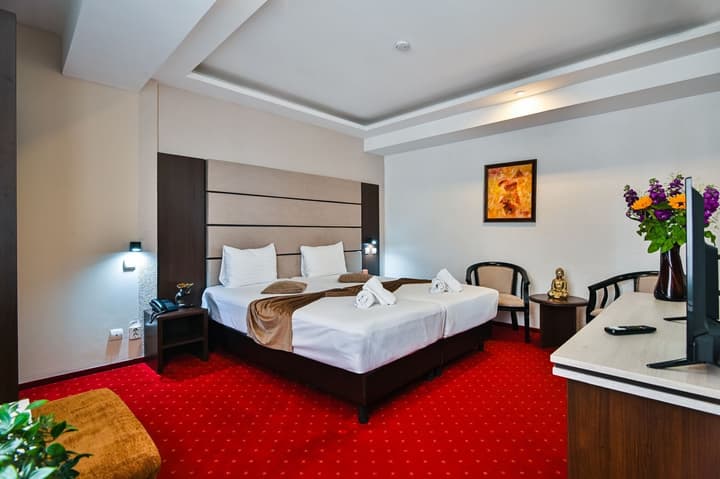 Hotel Razvan