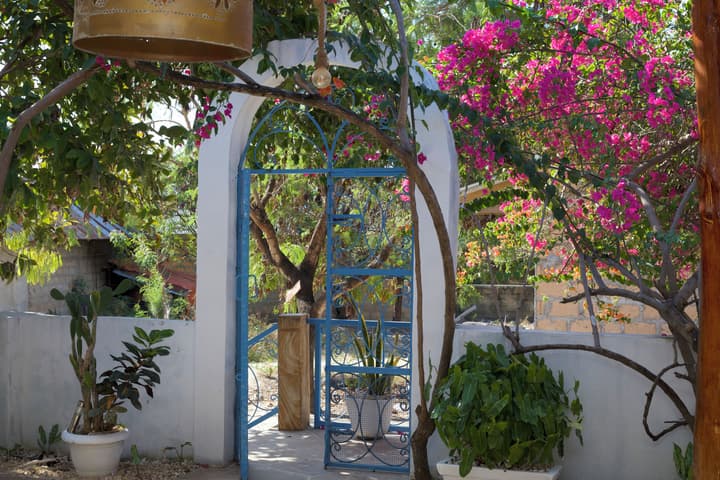Barabara House