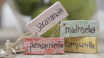 Alojamiento Rural El Pinsapo