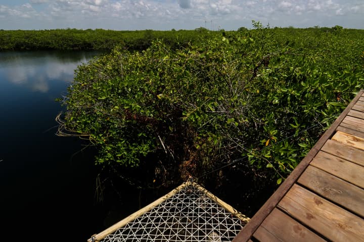 Cormoran Boutique Hotel & Cenote Tulum