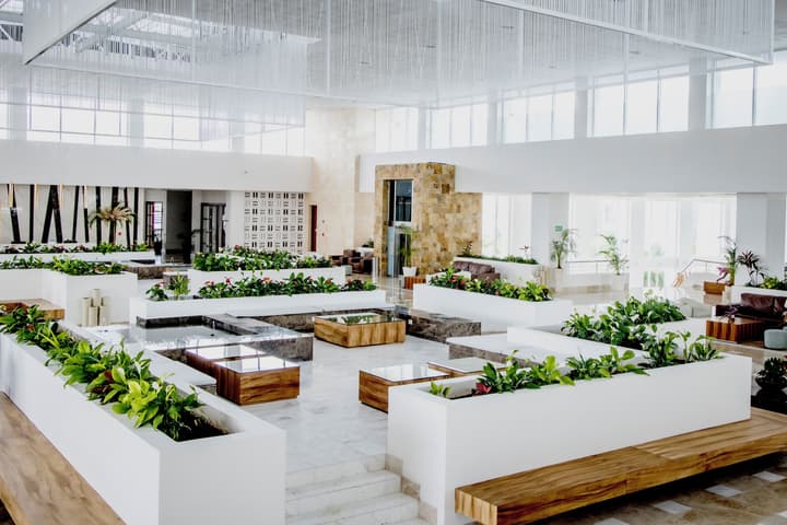 Majestic Elegance Costa Mujeres – All Inclusive