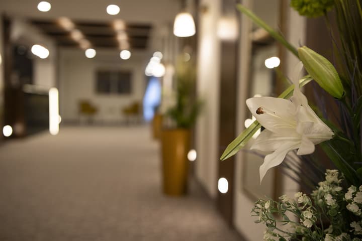 Luxury Rooms Velika Skadarlija