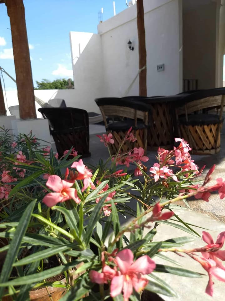 MIO Tulum Hotel Boutique