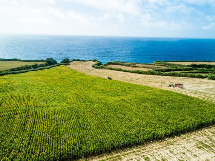 Sensi Azores Nature and SPA