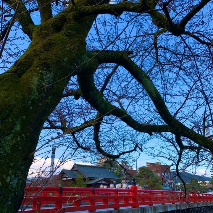 Hotel Wood Takayama
