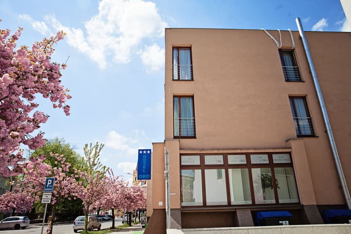 Hotel Oko