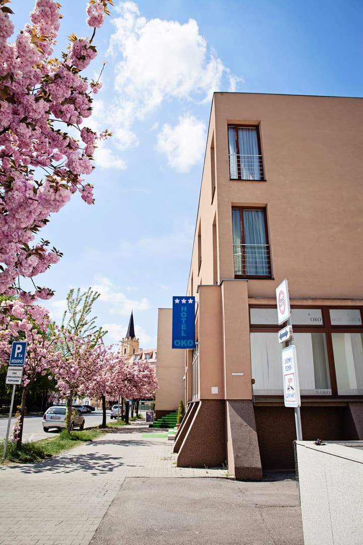 Hotel Oko