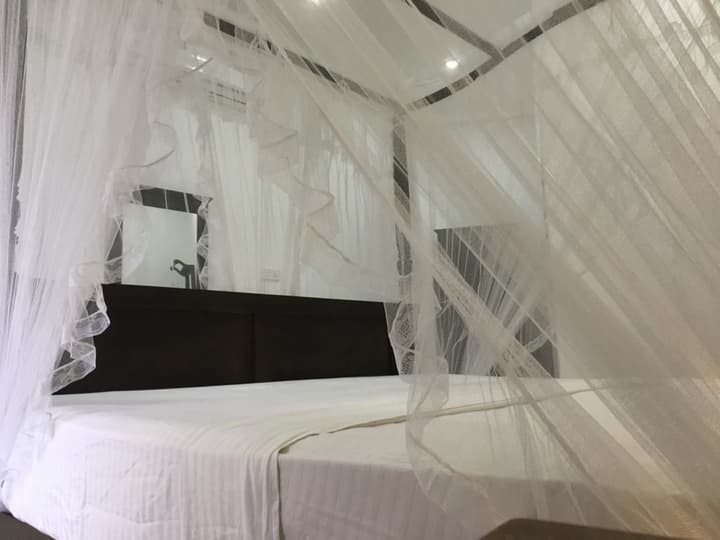 Galle Fantacy