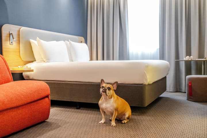 ibis Styles Bordeaux Lormont