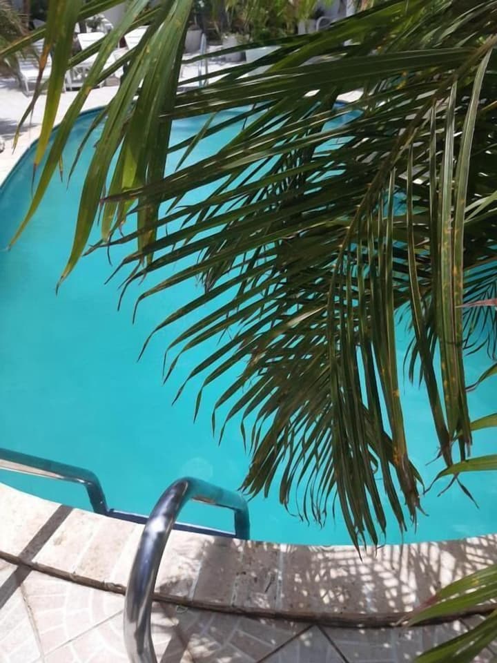 Palmita Hotel Hostel