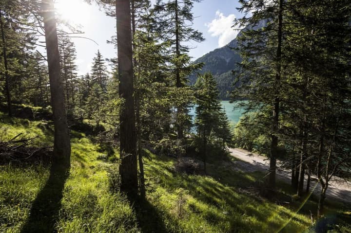 Hotel Fischer am See