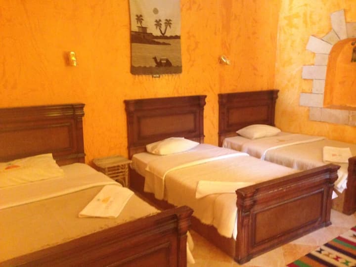 Dream Lodge Siwa
