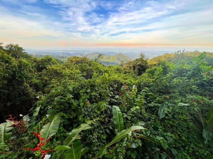 El Mirador