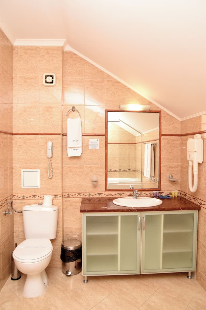 Sveta Sofia Hotel