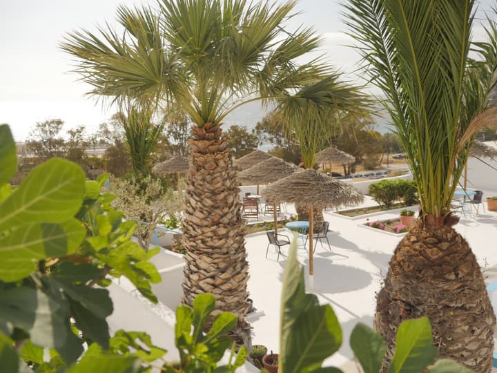 Ancient Thera Apartments