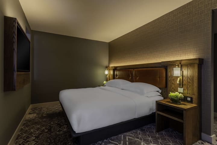 Hyatt Centric The Liberties Dublin