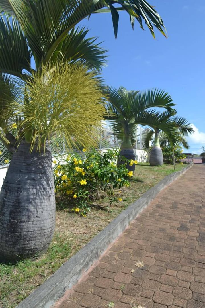 Villa Victoria