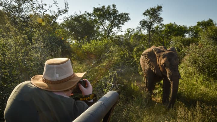 Lion Sands Narina Lodge