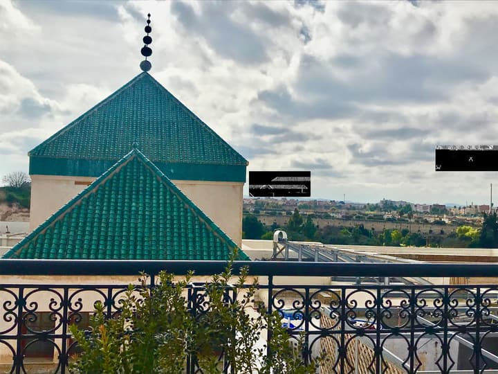 Riad Zidania