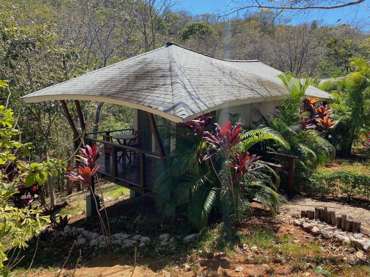 Mikado Natural Lodge